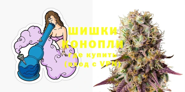 метадон Новодвинск