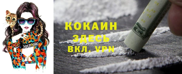 метадон Новодвинск