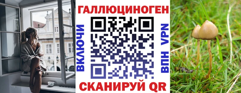 Галлюциногенные грибы Psilocybe гидра ССЫЛКА Урень хочу